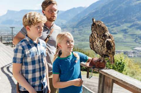 The Bird Rescue Center near Tyrol Castle