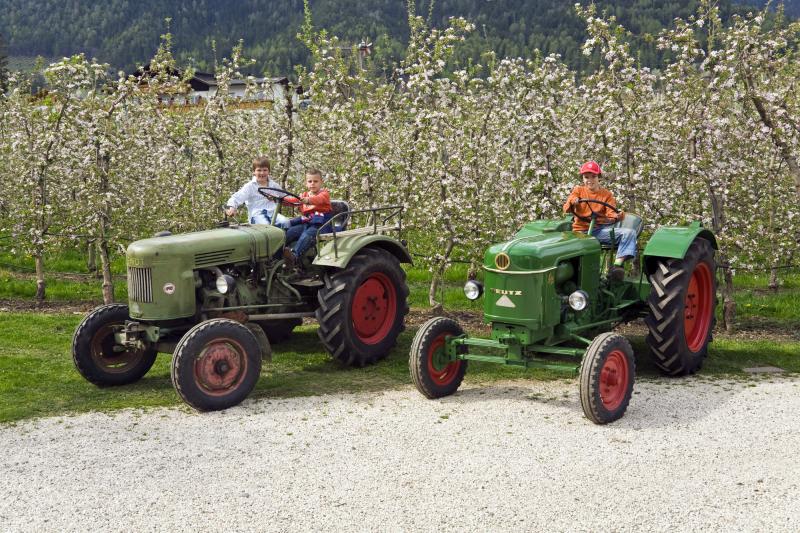 Trattori d'epoca al Schlettererhof a Tirolo