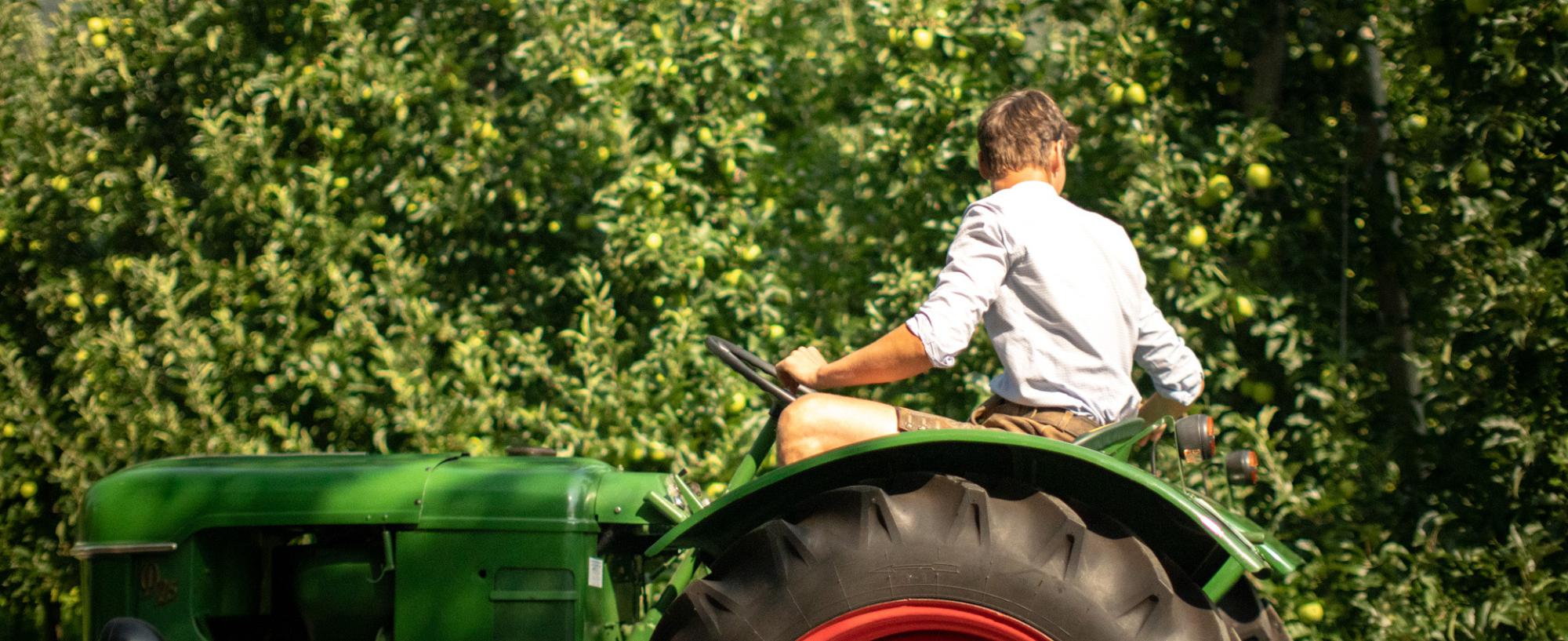 Oldtimertraktor vom Schlettererhof in Dorf Tirol