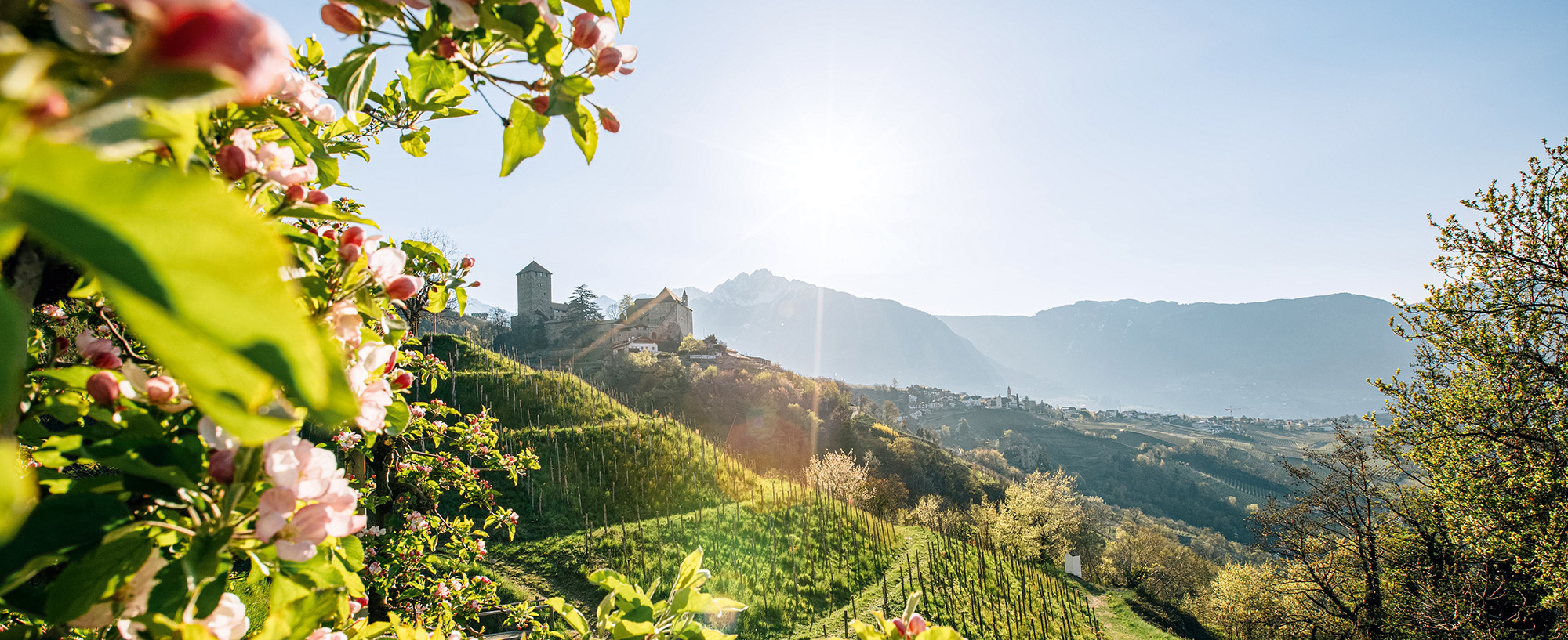 Tyrol Castle - Springtime